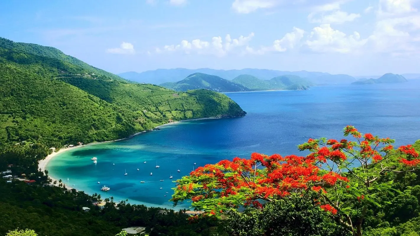 高性能创意先进